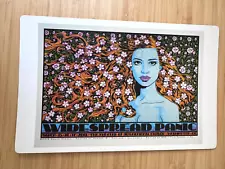 chuck sperry widespread panic posters for sale