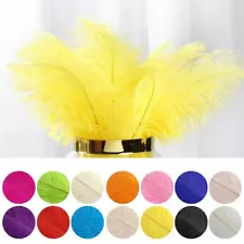 12 pcs 13"-15" long Genuine Ostrich Feathers for Wedding Party Centerpieces SALE