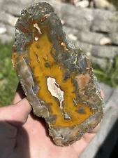 kentucky agate rough for sale