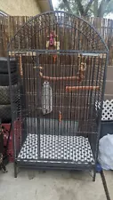 Large Bird Cage For Sale