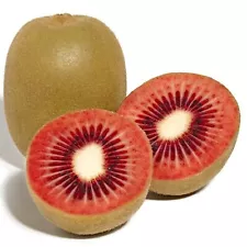 TreegoArt Kiwi " Red Hybrid " Exotic 50 Fruit Seeds for Home Gardening Growing