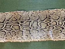 Genuine 80" Snakeskin (with head)