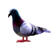 Simulation Pigeon 1pcs Artificial Educational Toys Garden Imitation Bird