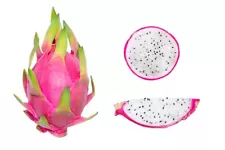 dragon fruit cuttings for sale california