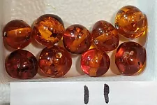 Designer! Natural Baltic Amber baroque round beads size 7-9 mm 9 pcs 10 LOTS