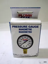 Plumb Eeze Dry Dial Pressure Gauge Lower Mount 100 Psi 1/4" MPT x 2"