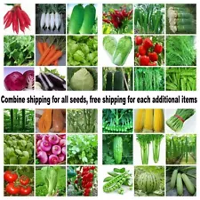 50 KINDS VEGETABLE SEEDS NON GMO / HYBRID ORGANIC PLANT BANK SURVIVAL HEIRLOOM