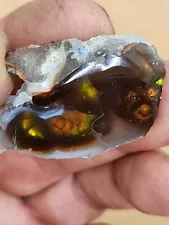 Fire Agate Windows Rough