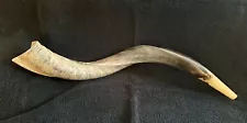 Yemenite Kudu Horn Shofar 28 Inches Half Polished