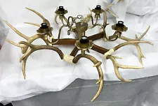 5 Light Authentic Whitetail Deer Antler & Skull Cap Chandelier - Real From Texas