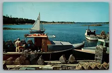 Bailey Island Maine Lobster Fisherman Traps Boat Dog Sailboat ME Postcard Vtg F7