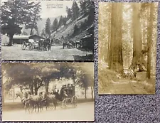 Vintage Horse Drawn Wagon, Stagecoach, Idaho, California Redwood Trees (3)
