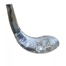 rams horn for sale