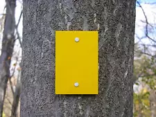 Trail Markers 2" X 3" set of fifty - yellow