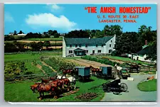 Postcard - The Amish Homestead Lancaster Penna. Buggies Milk Cans 1960s