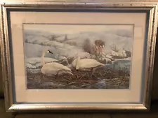 wildlife art-Framed print