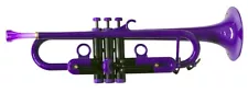 Lightweight Plastic Trumpet PLAYTECH PTTR100PR Purple Expedited shipping #366