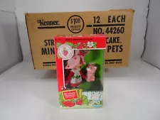 Kenner Strawberry Shortcake 1982 Factory Sealed Original Rare Shipper Carton