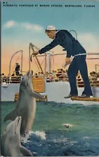 Jumpmaster Navy Sailor Suit Hat Feeding Porpoises Marineland FL Postcard UNP