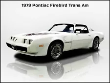 1979 Pontiac Firebird Trans Am New Metal Sign: Beautiful Restoration!