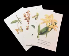 Postcards x4 Orchids - Monkey Dancing Lady Slipper Laelia NY Botanical Flowers