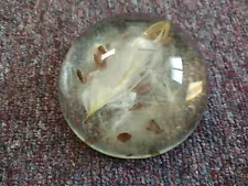 Natural Milkweed Paperweight ~ Seed Puff ~ 3.75"