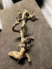 lizard driftwood branch for tank