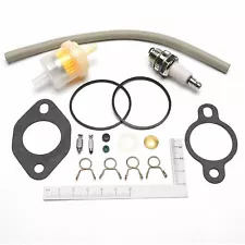 Carburetor overhaul repair kit for Walbro LMK carburetor with fuel pumps