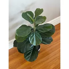 Artificial Fiddle Leaf Fig Tree/Fake Ficus Lyrata Plant 28”