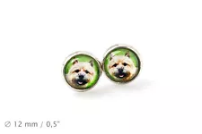 Norwich Terrier. Pet in your ear. Earrings. Photojewelry. Handmade. USA