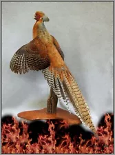 Phoenix Pheasant Taxidermy Mount Bird Feathers Exotic by Wildlife-Artist