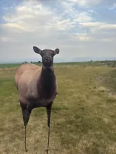 Montana Decoy Eichler Elk Decoy