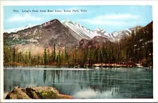 Longs Peak From Bear Lake, Estes Park Colo., Snowy Mountain & Trees Postcard A49