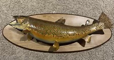 27” Brown Trout Mounted. 33” Including The Mount