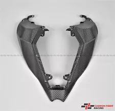 2021-2022 Kawasaki Ninja ZX-10R Tail Section - 100% Carbon Fiber