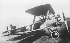 Aviation Aircraft Real Photograph Postcard Sopwith Snapper #2630