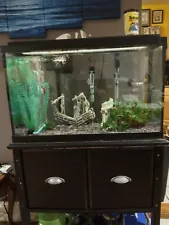 large fish tanks for sale complete with fish and accessories