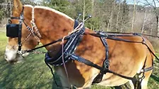 Amish Made Flashy, Studded Biothane Harness Haflinger, Large Pony, Small Horse