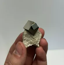 Multiple Pyrite Cubes in Limestone Matrix - Natural Pyrite Navajun Mine Spain