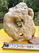 Texas Natural Holey Rock - 8.4 Pounds