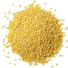 millet seed for sale