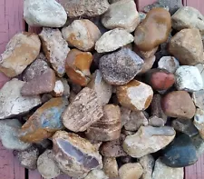 BLOWOUT SALE ! 11+ lb. South Central TX Flint/Chert