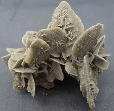 Gypsum 'Desert Rose', Mexico, Large Cluster - Mineral Specimen for Sale