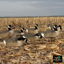 NEW AVERY GREENHEAD GEAR GHG CANADA GOOSE SHELL FIELD DECOYS 6 PACK 1/2 DOZEN