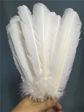 Wholesale beautiful white turkey feather 10-12 inches / 25-30 cm 10-100pcs