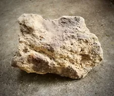 XXL Pumice Stone Volcanic Rock