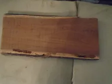 Hardwood Black Walnut??? 19 1/4" x 8" x 1 3/8" Slab of Wood