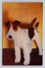 Vintage Postcard Wire-Haired Fox Terrier Dog