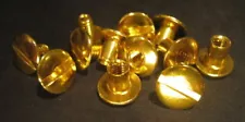 GOLD SCREW SETS FOR ALL CAPITAL PLASTICS MINT & PROOF SET HOLDERS !