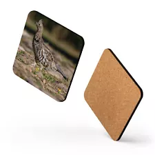 Ruffed Grouse - Wildlife Collection